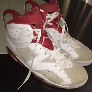 Air Jordan Retro 6 Alternative 1991